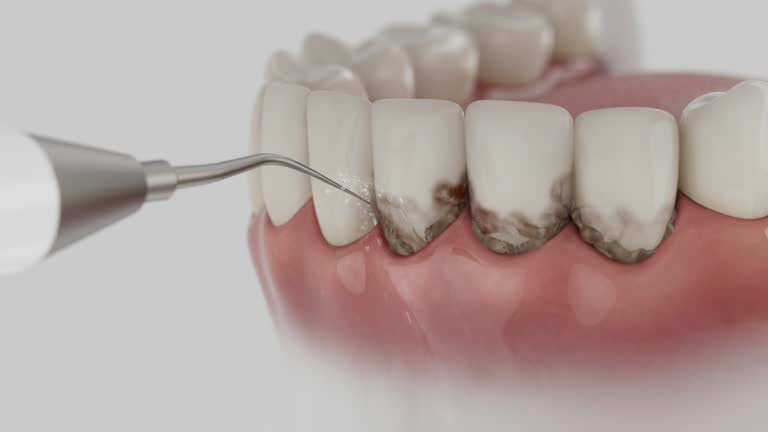 Reliable Dental contractor in Highland Park, MI by Dentist Open Now
